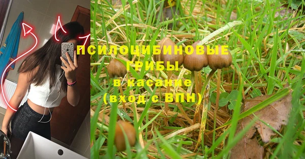 дурь Аркадак