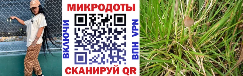 купить наркотики цена  Суровикино  Галлюциногенные грибы прущие грибы 