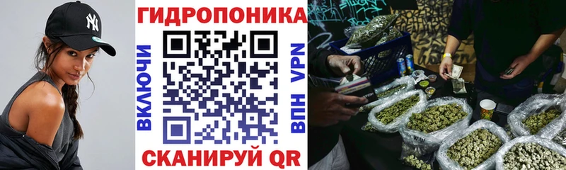 Канабис SATIVA & INDICA  сколько стоит  Суровикино 